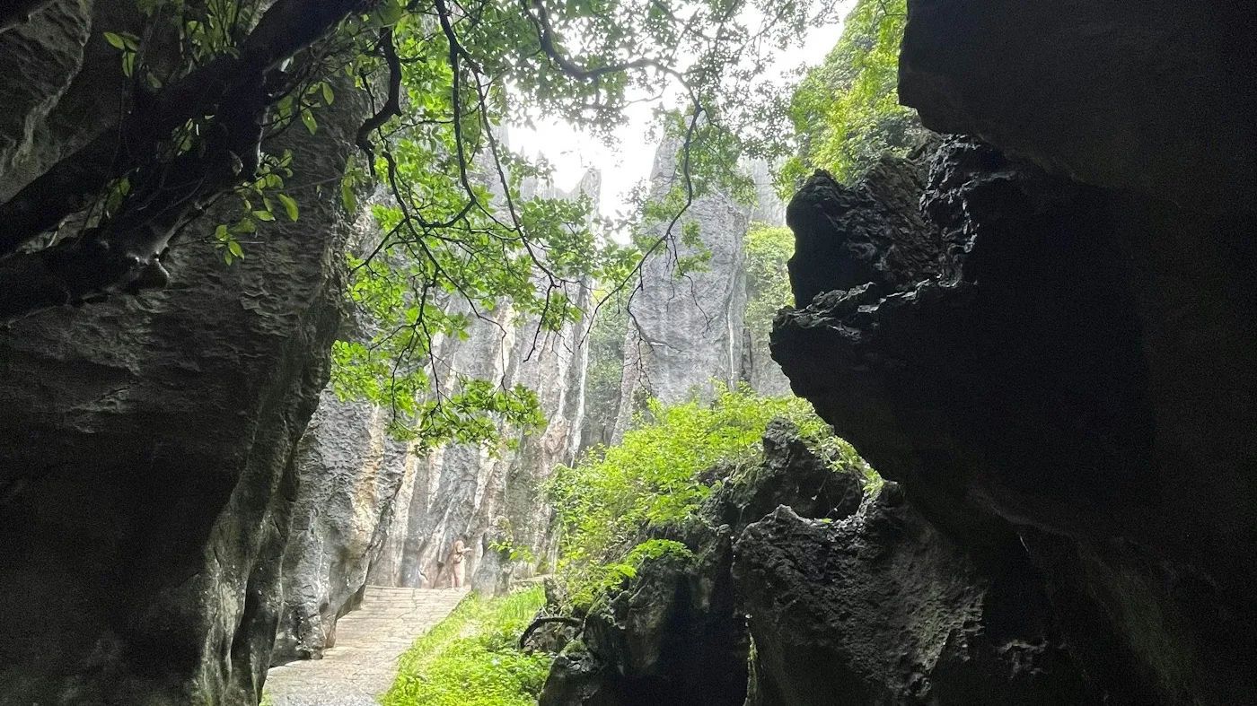 Stone Forest limestone pillars near Kunming Yunnan